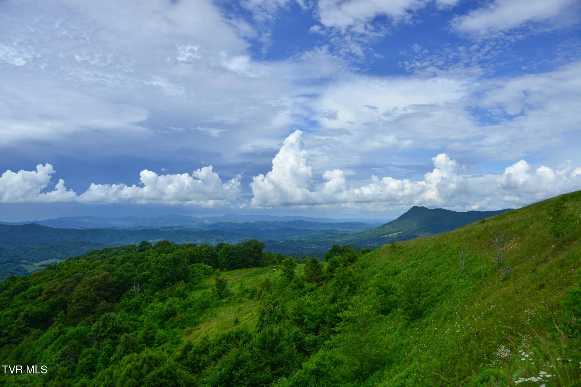 C614 Buffalo Nvno Road, Unit C614 Trade, TN 37691 - Photo 16 of 35 12