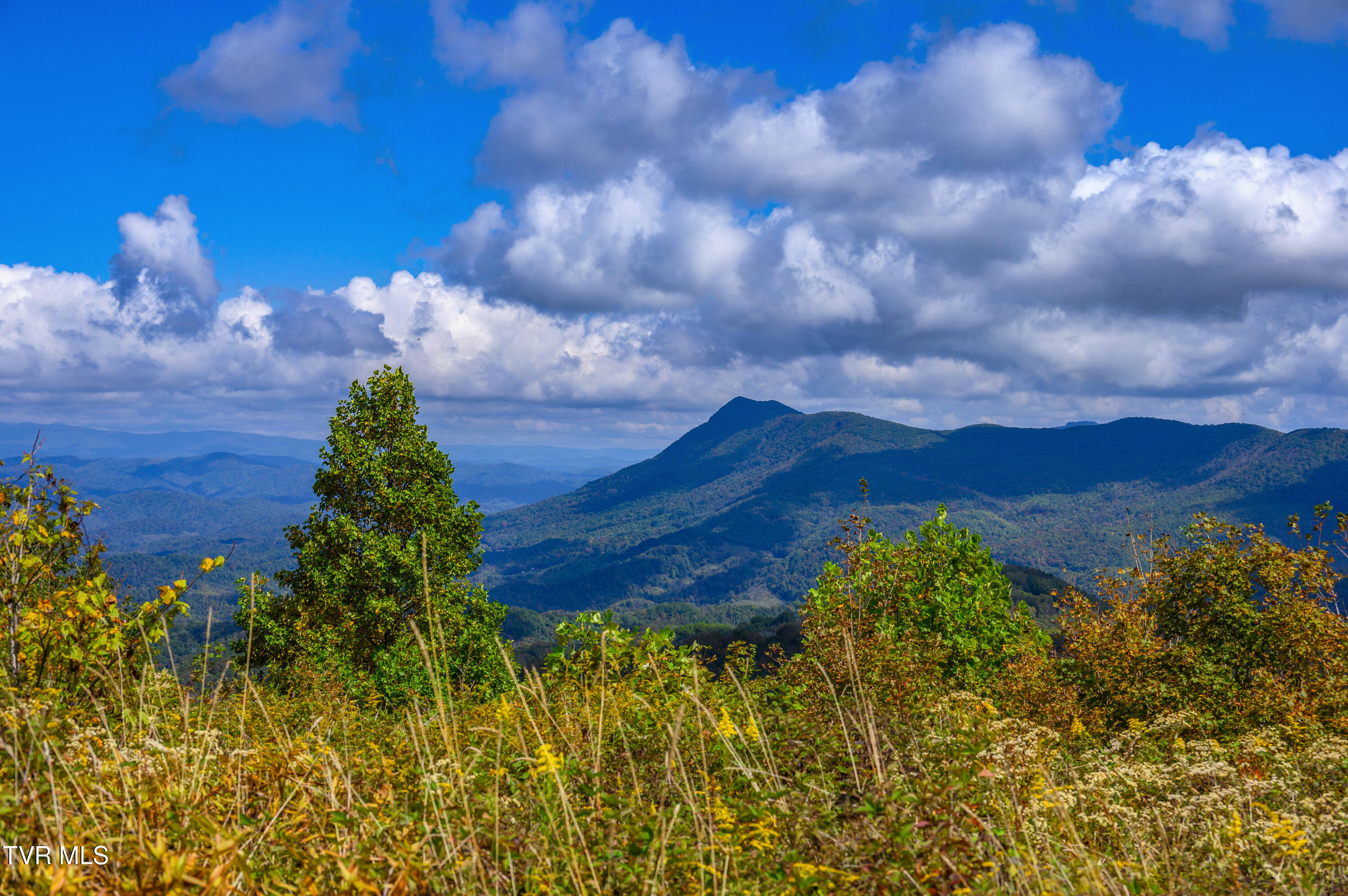 C614 Buffalo Nvno Road, Unit C614 Trade, TN 37691 - Photo 19 of 35 15