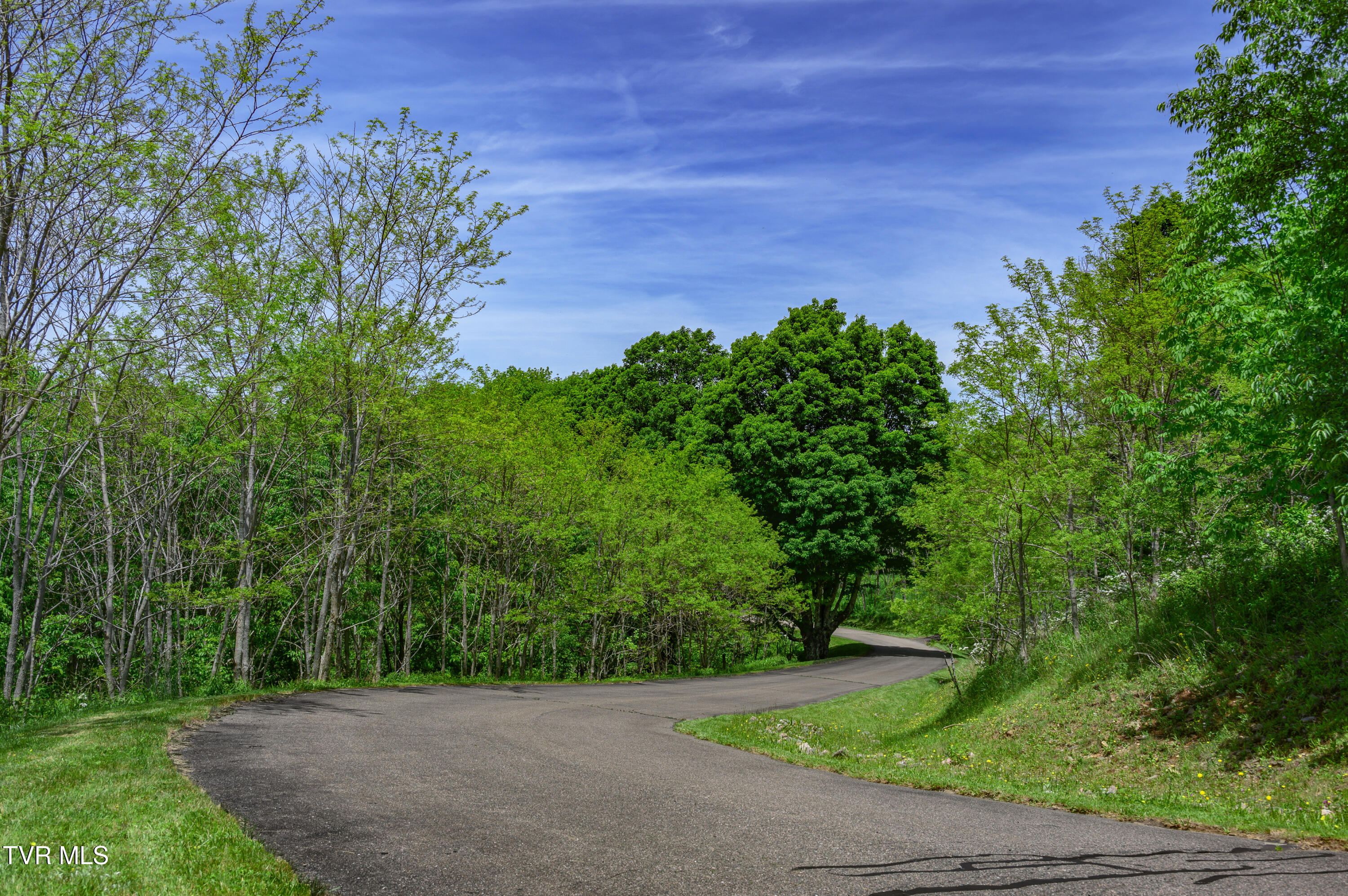 C614 Buffalo Nvno Road, Unit C614 Trade, TN 37691 - Photo 2 of 35 1b