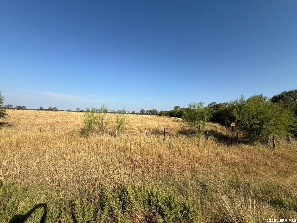 3232 Fm 1590 Quemado, TX 78877 - Photo 9 of 13