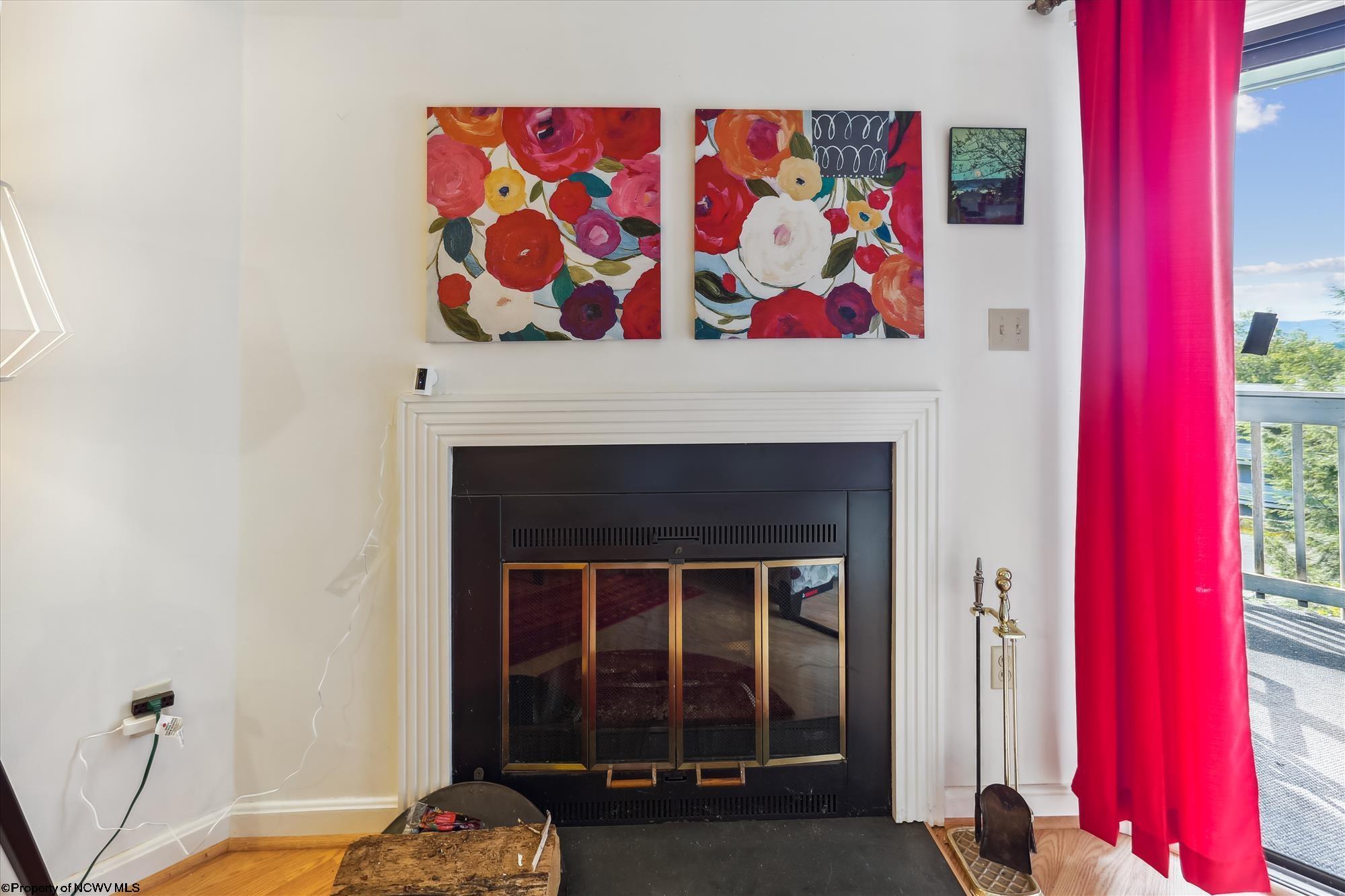 243 Beaver Ridge Davis, WV 26260 - Photo 8 of 25 Gallery Image 8