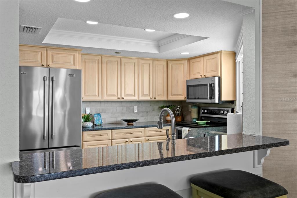 16332 Gulf Boulevard, Unit 3B Redington Beach, FL 33708 - Photo 21 of 93 a kitchen with stainless steel appliances granite countertop a refrigerator and a sink