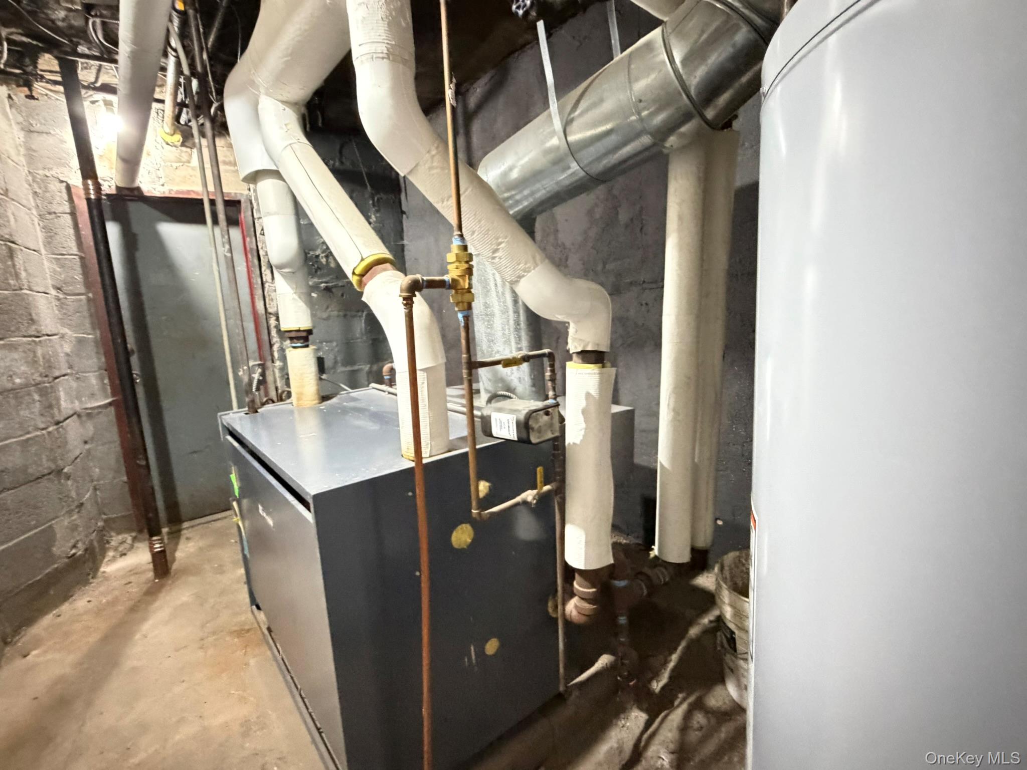 100-04 Spruce Street Queens, NY 11368 - Photo 10 of 12 a view of storage and utility room