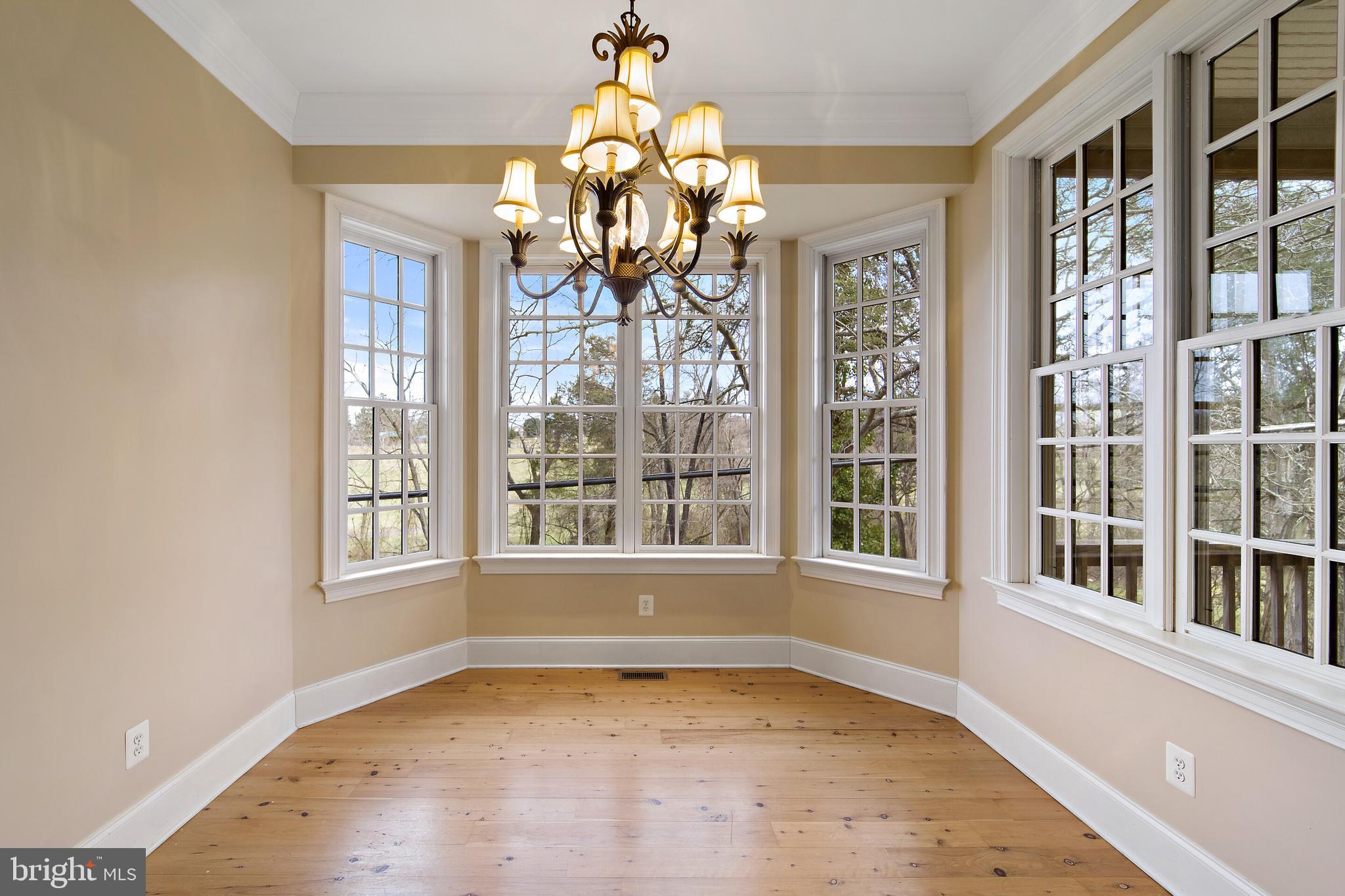 457 Madison Road Culpeper, VA 22701 - Photo 17 of 95 Gallery Image 17