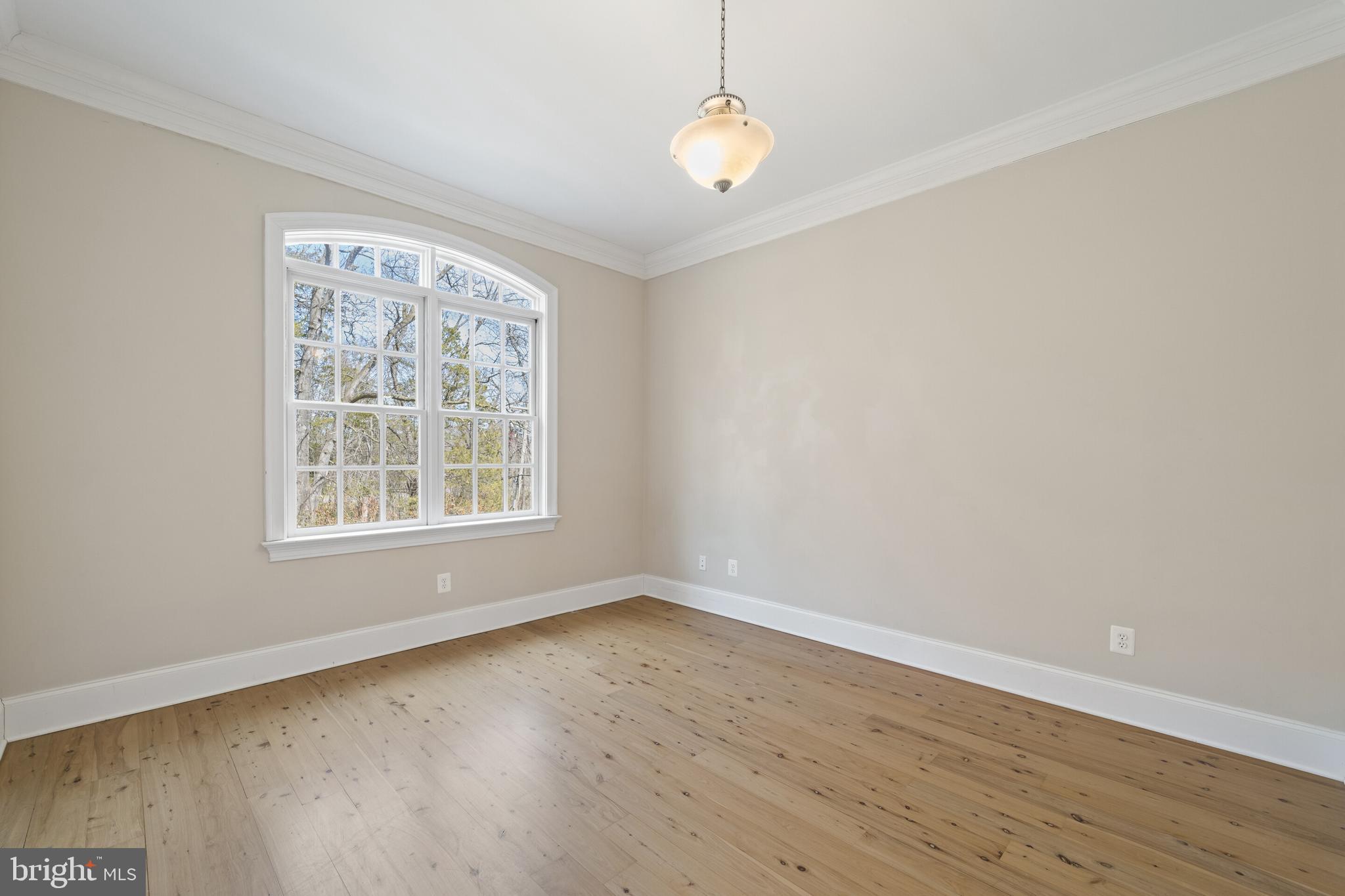 457 Madison Road Culpeper, VA 22701 - Photo 41 of 95 Gallery Image 41