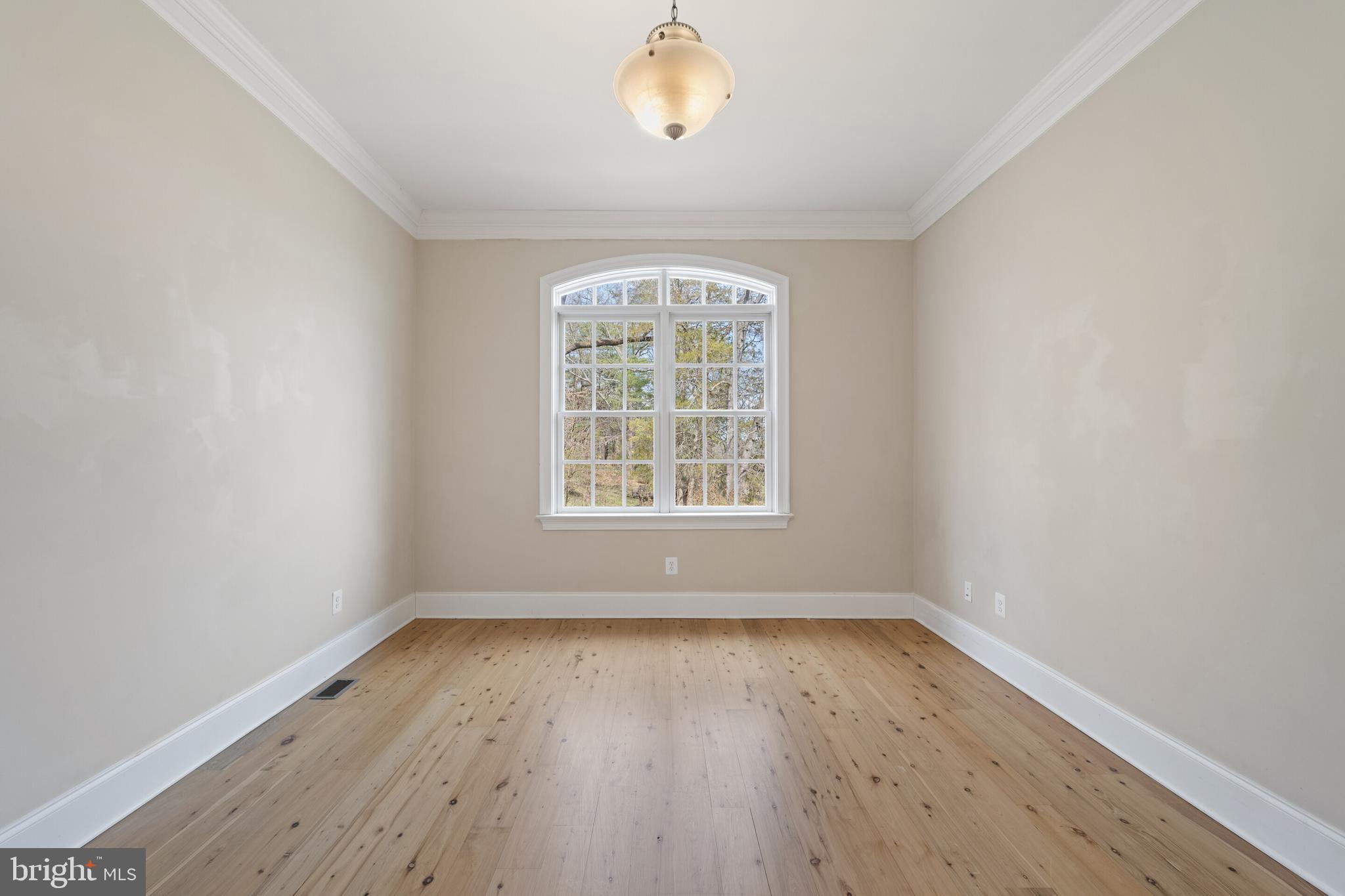 457 Madison Road Culpeper, VA 22701 - Photo 42 of 95 Gallery Image 42