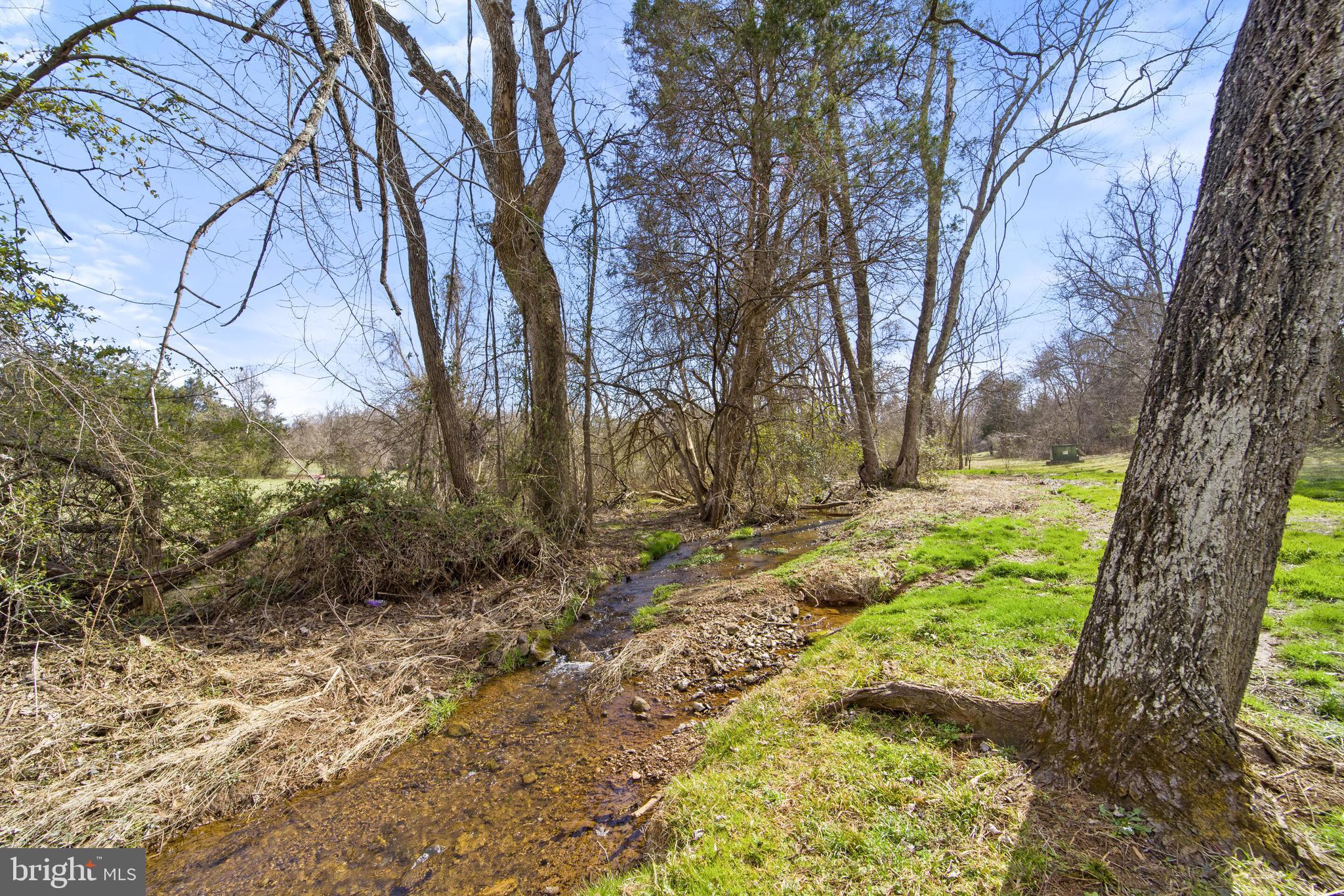 457 Madison Road Culpeper, VA 22701 - Photo 86 of 95 Gallery Image 86
