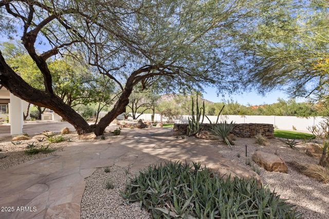 a view of a yard with trees