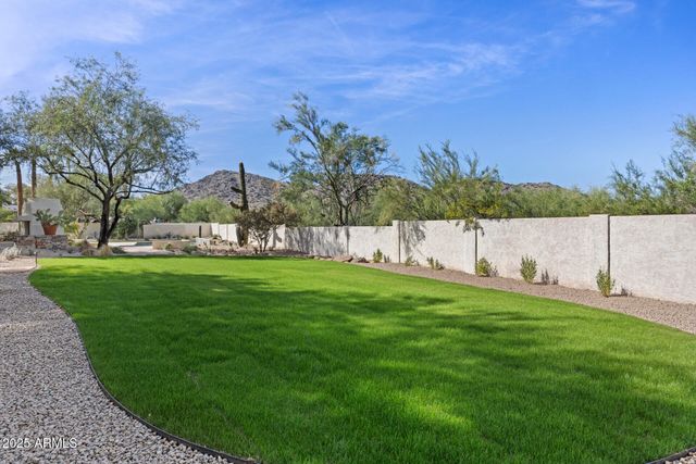 a view of yard with grass and trees