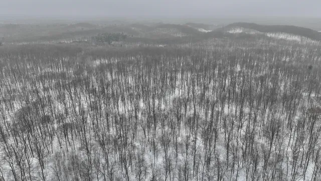 $775,000 | W9110 Wildwood Road, Willard, WI 54493