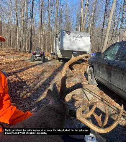 $775,000 | W9110 Wildwood Road, Willard, WI 54493