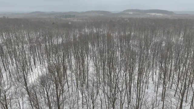 $775,000 | W9110 Wildwood Road, Willard, WI 54493