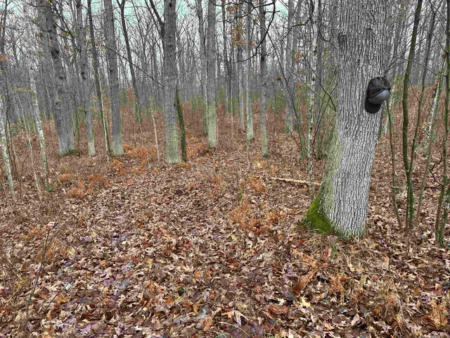 $775,000 | W9110 Wildwood Road, Willard, WI 54493