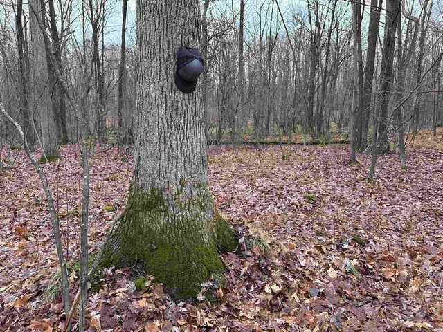 $775,000 | W9110 Wildwood Road, Willard, WI 54493