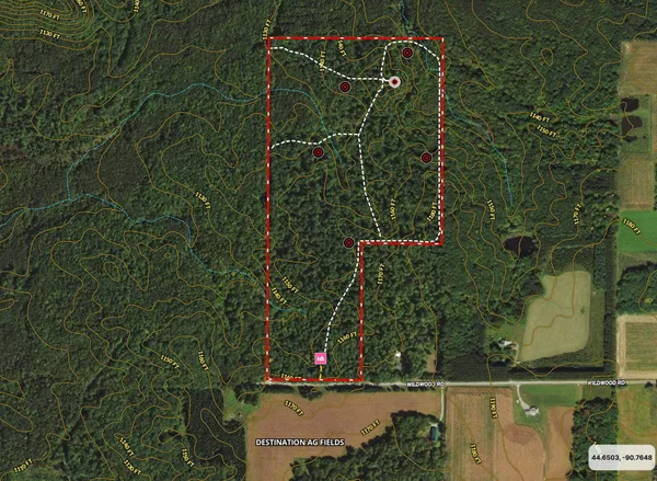 $769,900 | W9110 Wildwood Road, Willard, WI 54493