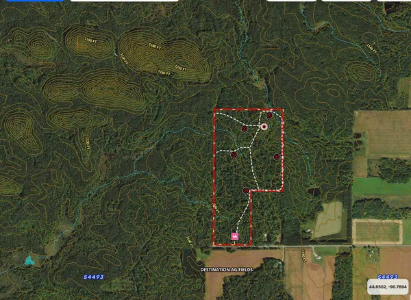 $769,900 | W9110 Wildwood Road, Willard, WI 54493