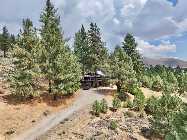 a view of a yard with trees