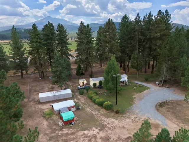 a view of a garden with lawn chairs