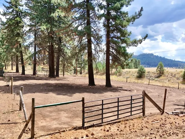 a view of a backyard with wooden fence