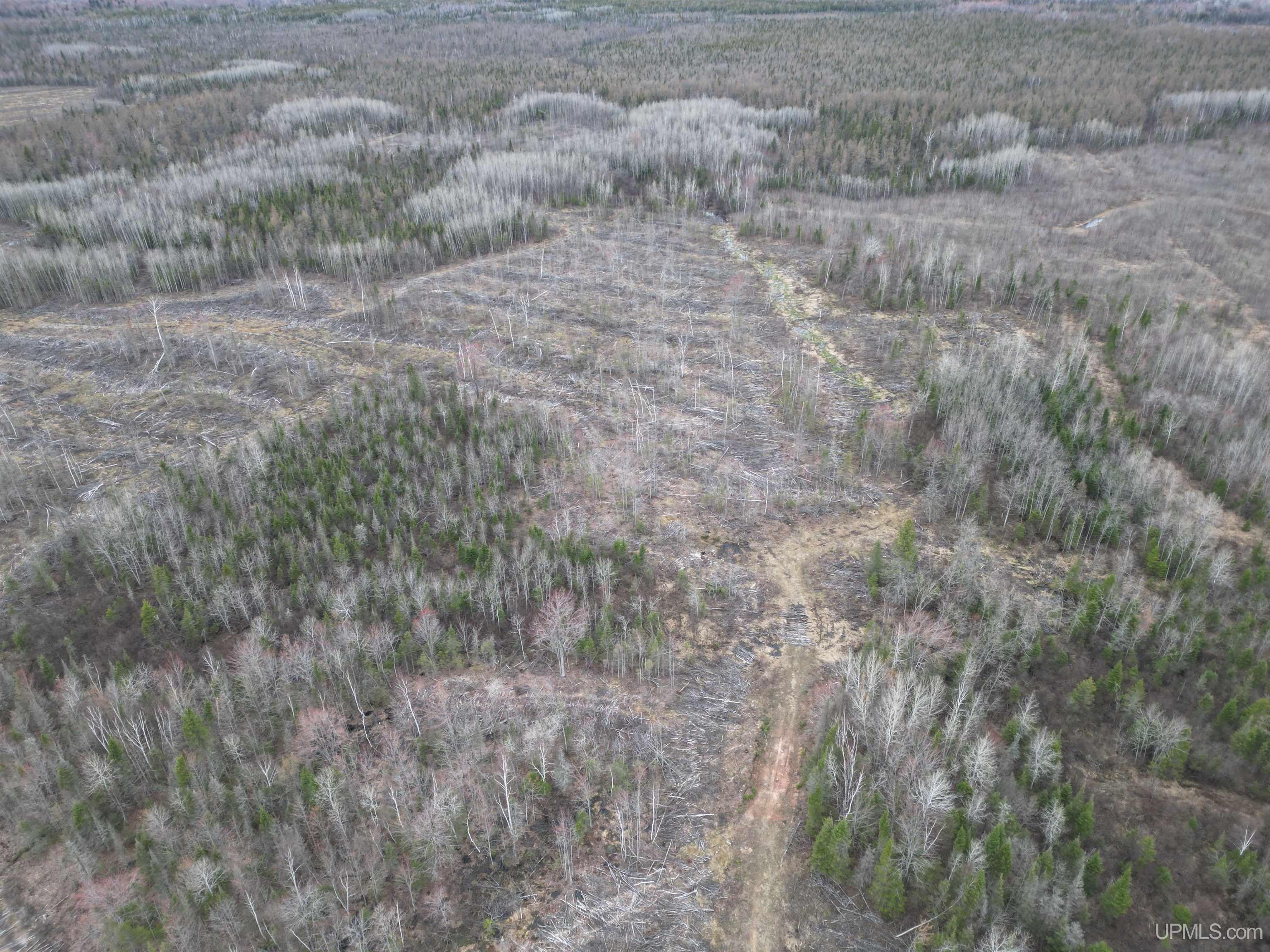 Tbd North Rock 38th Rd Sw 40 Road Rock, MI 49880 - Photo 27 of 29