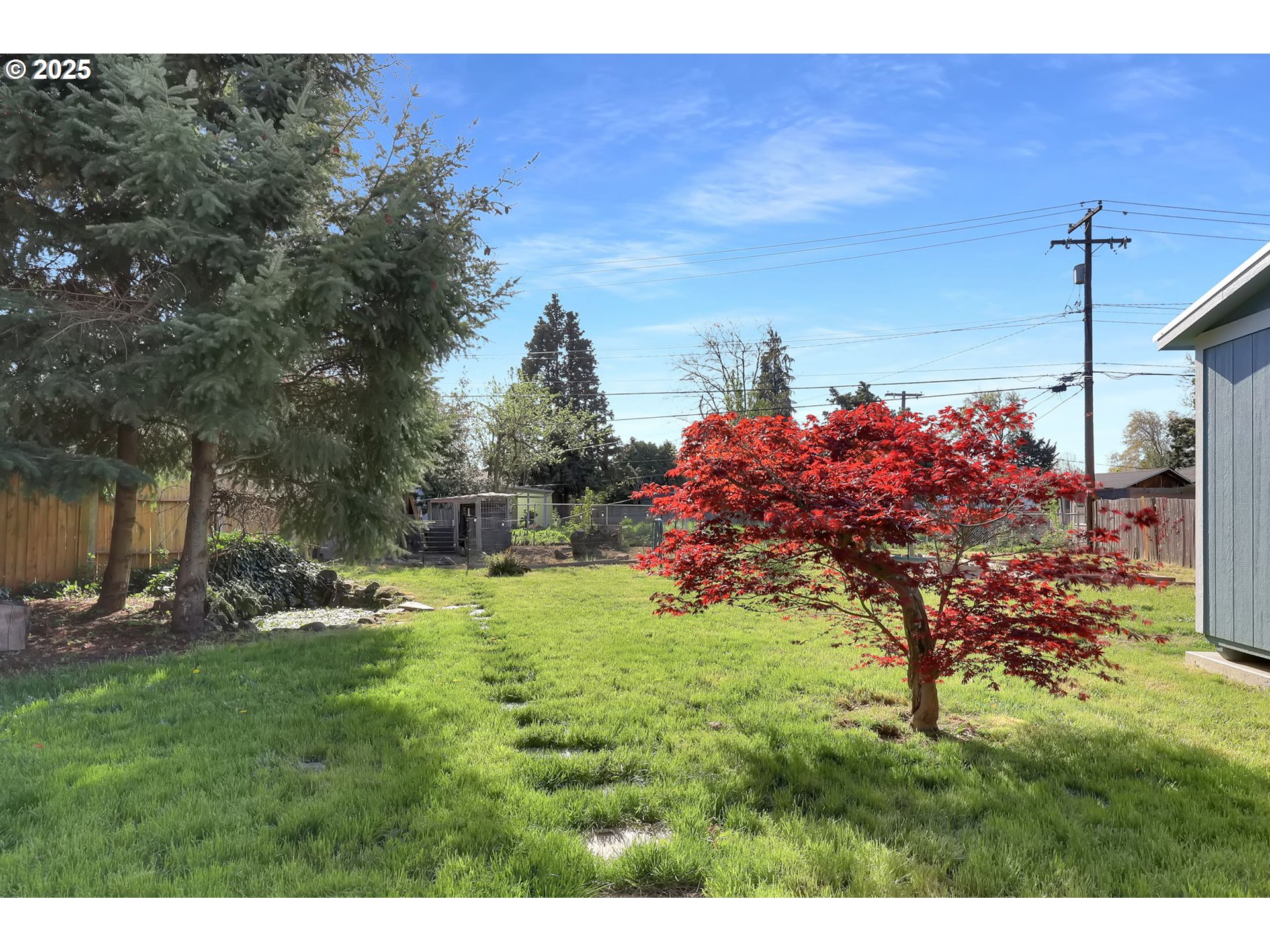 830 Jerry Street Eugene, OR 97402 - Photo 16 of 22 a view of a backyard