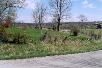 View from road on right side of house.
