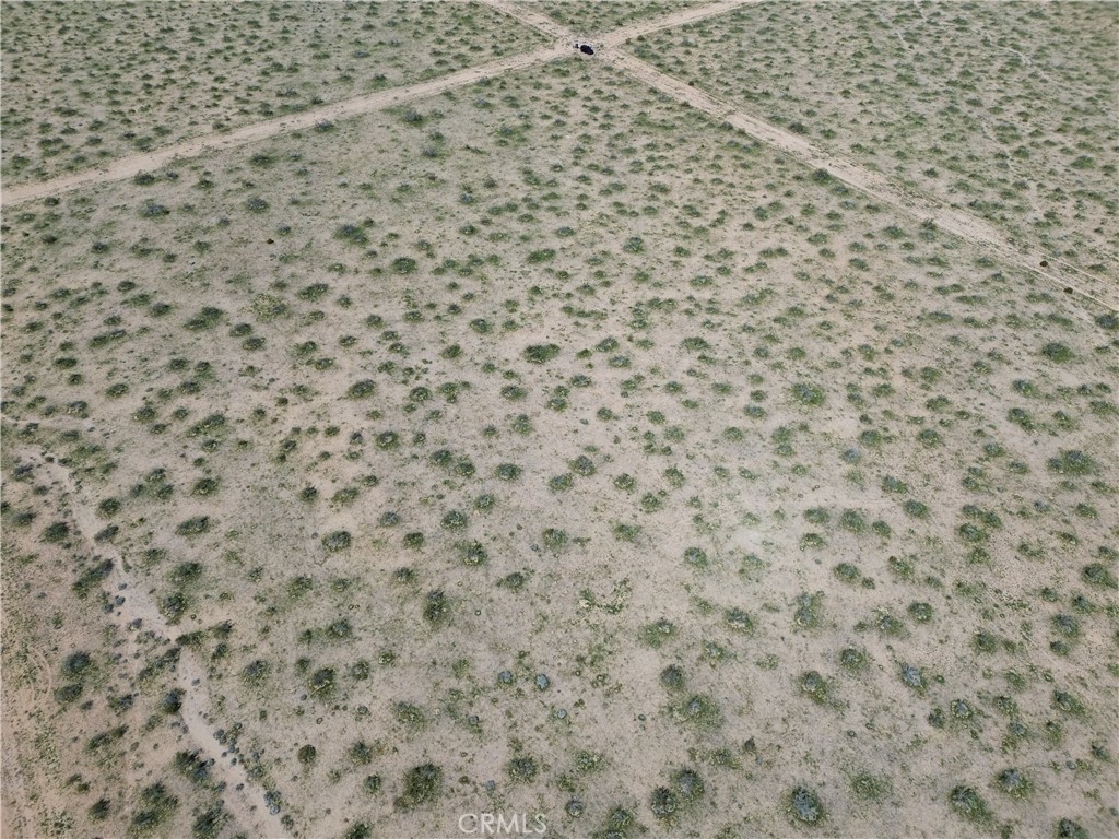 41748101 Tamarisk St  