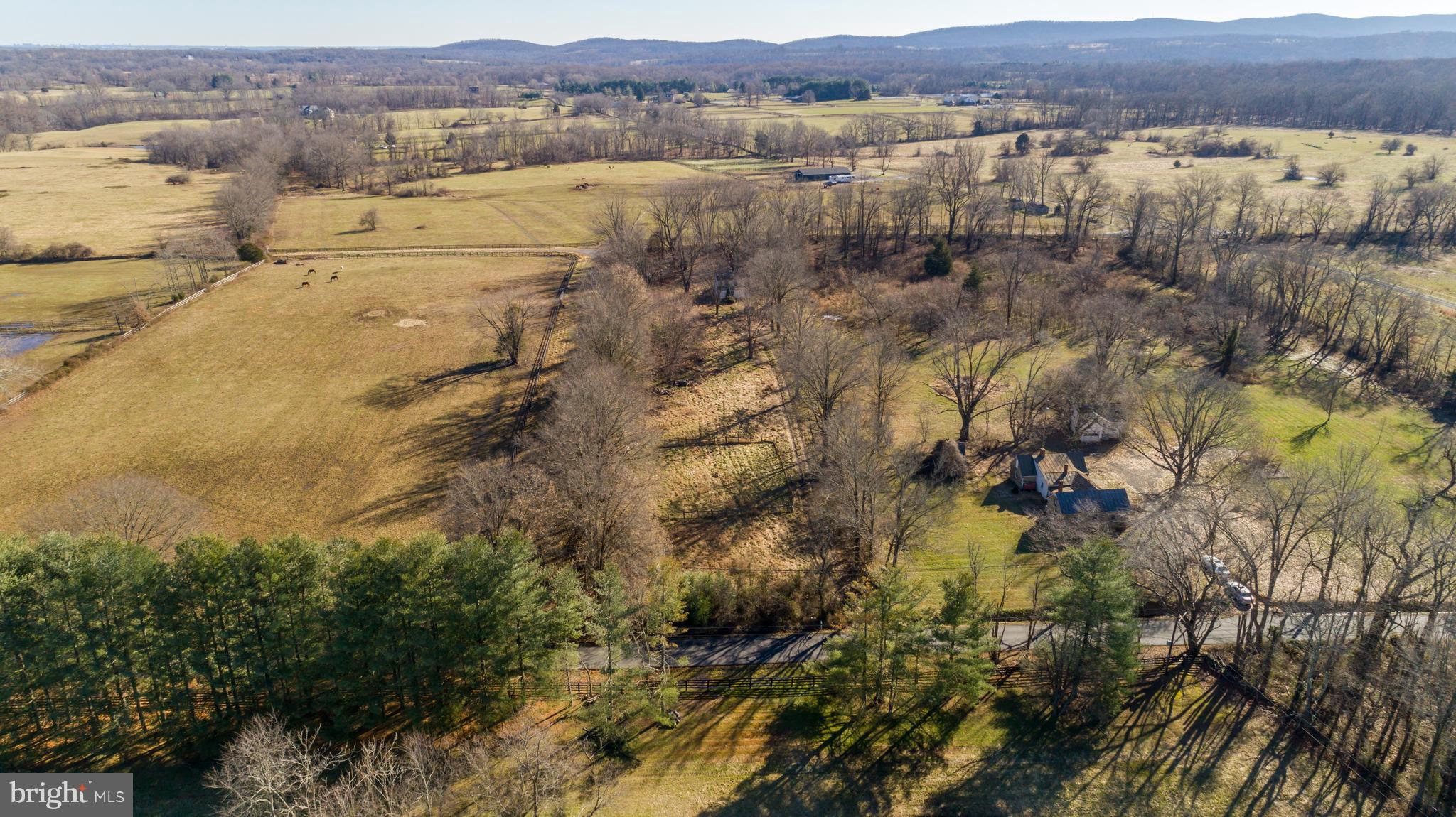 22552 Sam Fred Road Middleburg, VA 20117 - Photo 1 of 13 Head on Overview of Rectangle Piece of Land