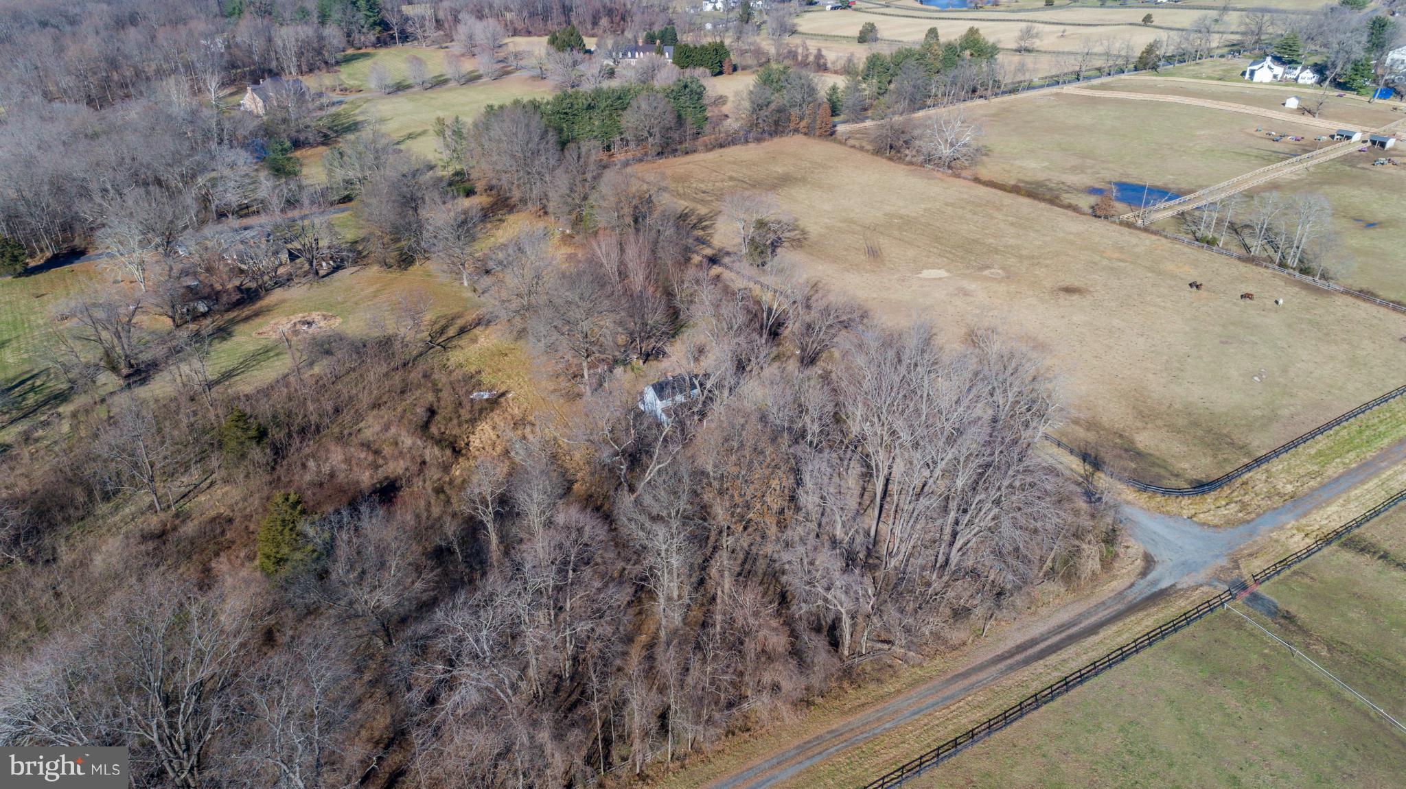 22552 Sam Fred Road Middleburg, VA 20117 - Photo 2 of 13 Back Side of Lot Horse Farm to the Right