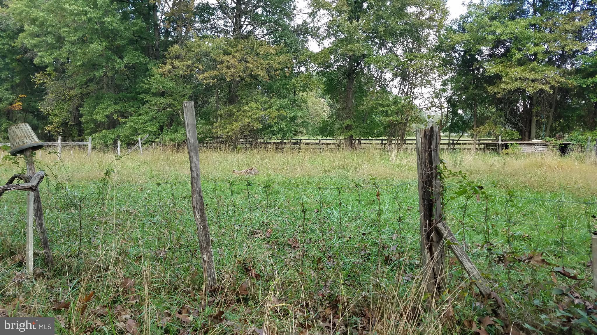 22552 Sam Fred Road Middleburg, VA 20117 - Photo 11 of 13 View