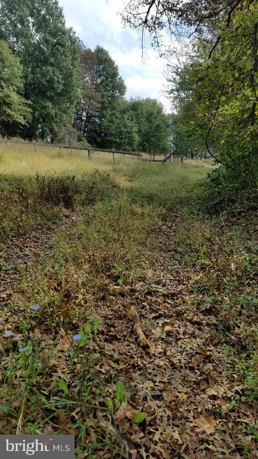 22552 Sam Fred Road Middleburg, VA 20117 - Photo 12 of 13 Gravel Driveway