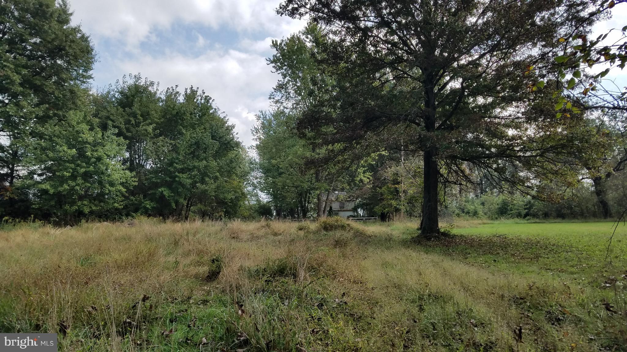 22552 Sam Fred Road Middleburg, VA 20117 - Photo 13 of 13 View from Front.