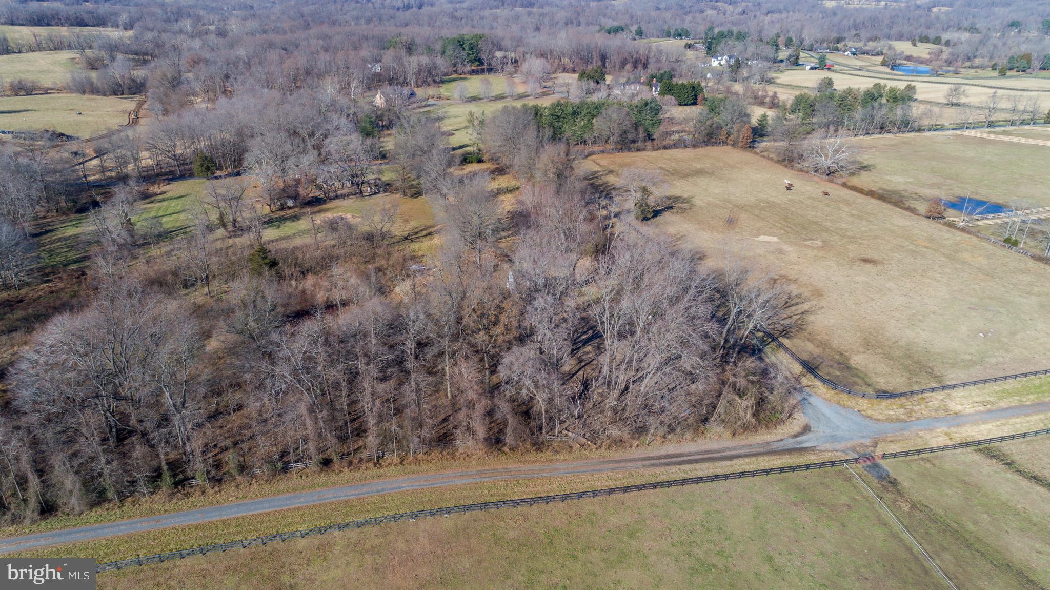 22552 Sam Fred Road Middleburg, VA 20117 - Photo 9 of 13 Gallery Image 9