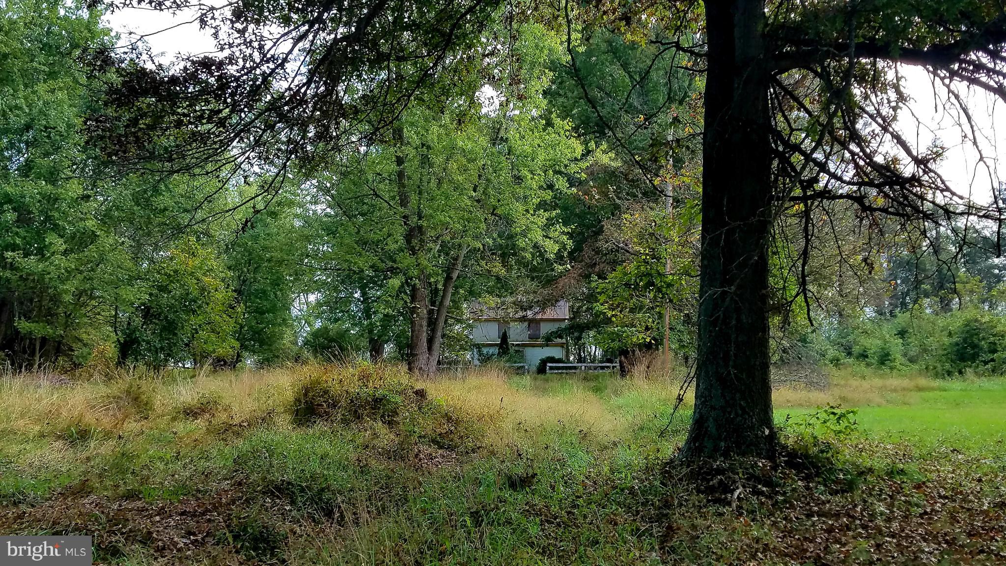 22552 Sam Fred Road Middleburg, VA 20117 - Photo 10 of 13 Open Area to build Your Dream Home.
