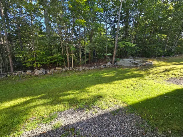 a view of a backyard with a small cabin