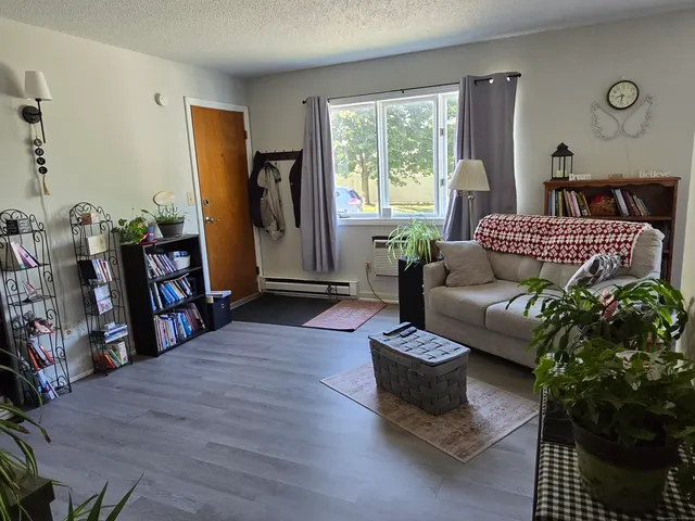 a living room with furniture and a potted plant