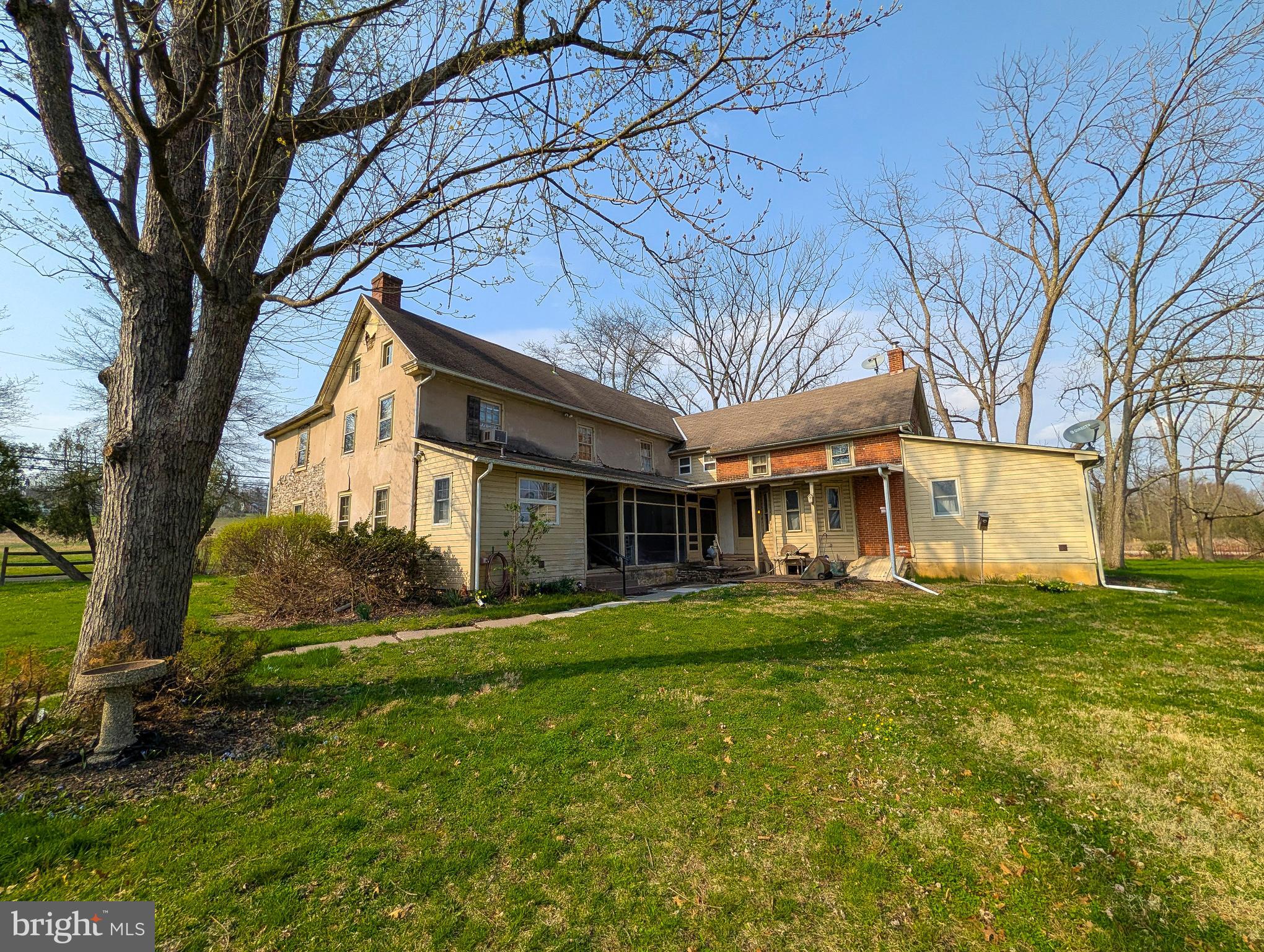 a view of a yard in front of a house with a large tree