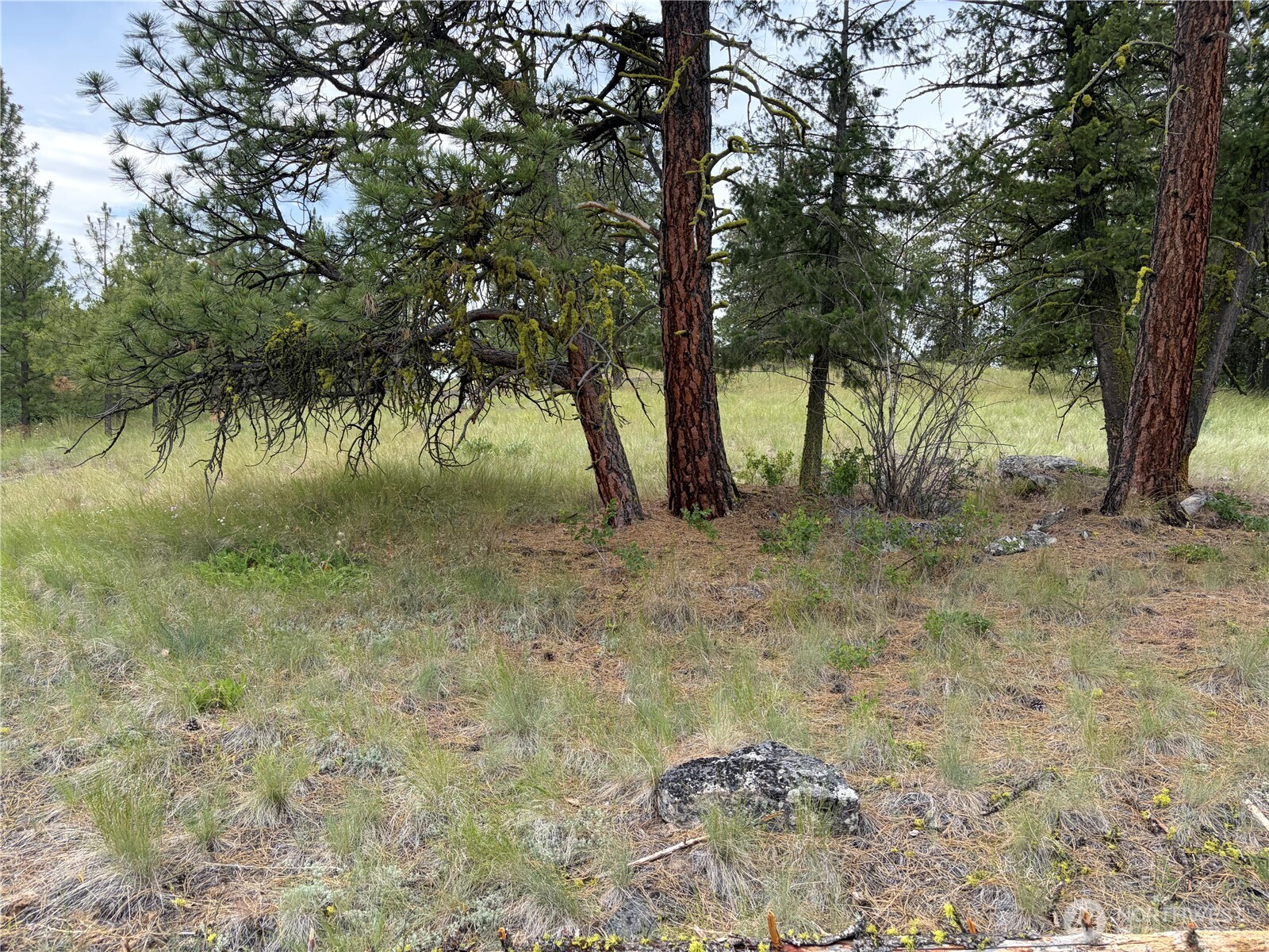 33 Outback Road Oroville, WA 98844 - Photo 22 of 26
