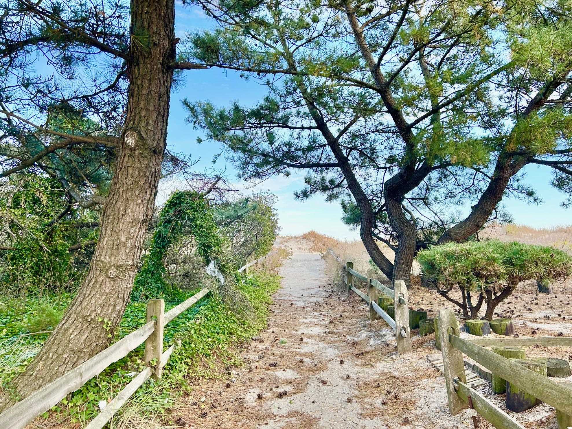 26 73rd Street, Unit WEST Sea Isle City, NJ 08243 - Photo 10 of 21 a backyard of a house with lots of green space