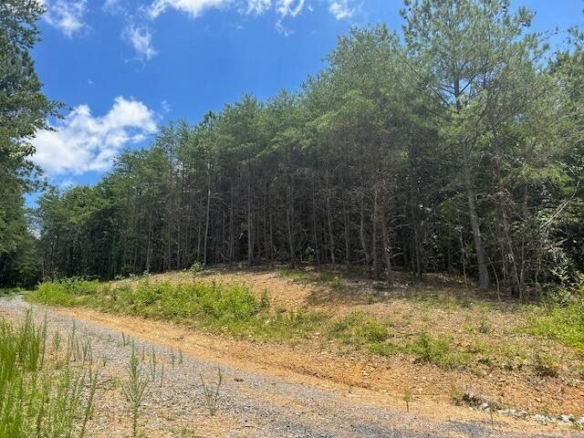 5 Owl Hollow Road Southwest McDonald, TN 37353 - Photo 1 of 32