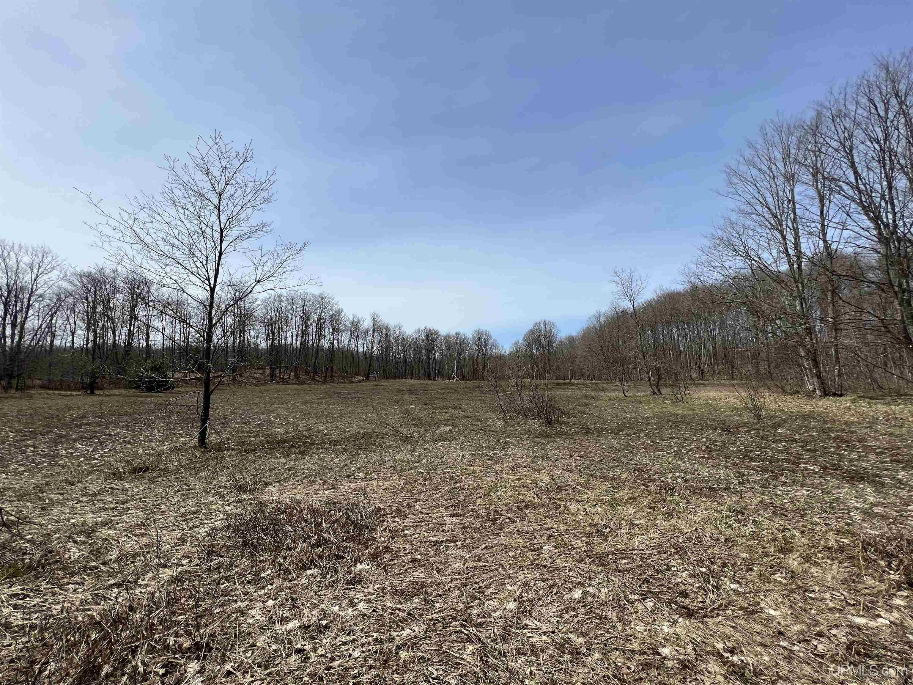 H58 St Shingleton Mi 49895 Shingleton, MI 49884 - Photo 21 of 21