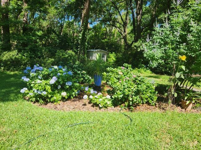 412 Northwest 46th Street Gainesville, FL 32607 - Photo 56 of 58