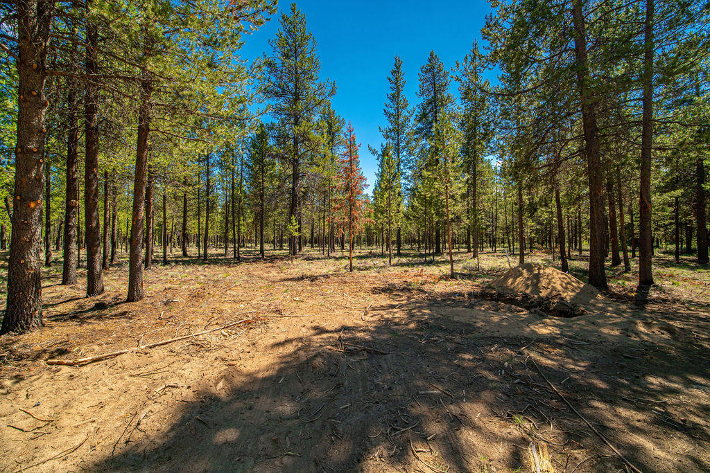 17605 Vandevert Road Bend, OR 97707 - Photo 27 of 34 27
