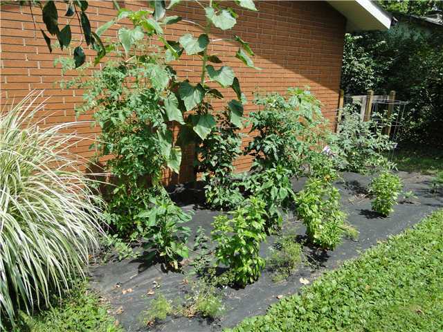 938 Farnham Road Columbus, OH 43220 - Photo 22 of 24 Gallery Image 22
