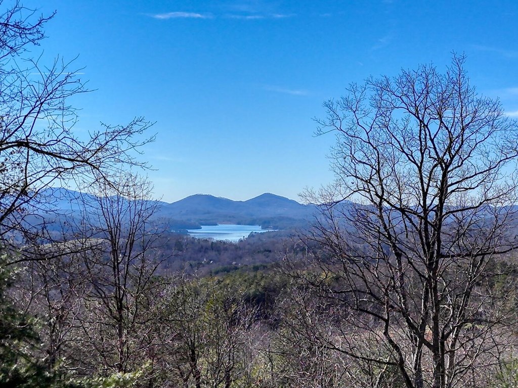 417 Hidden Forest Lane Hayesville, NC 28904 - Photo 2 of 26 a view of a forest with a mountain in the background