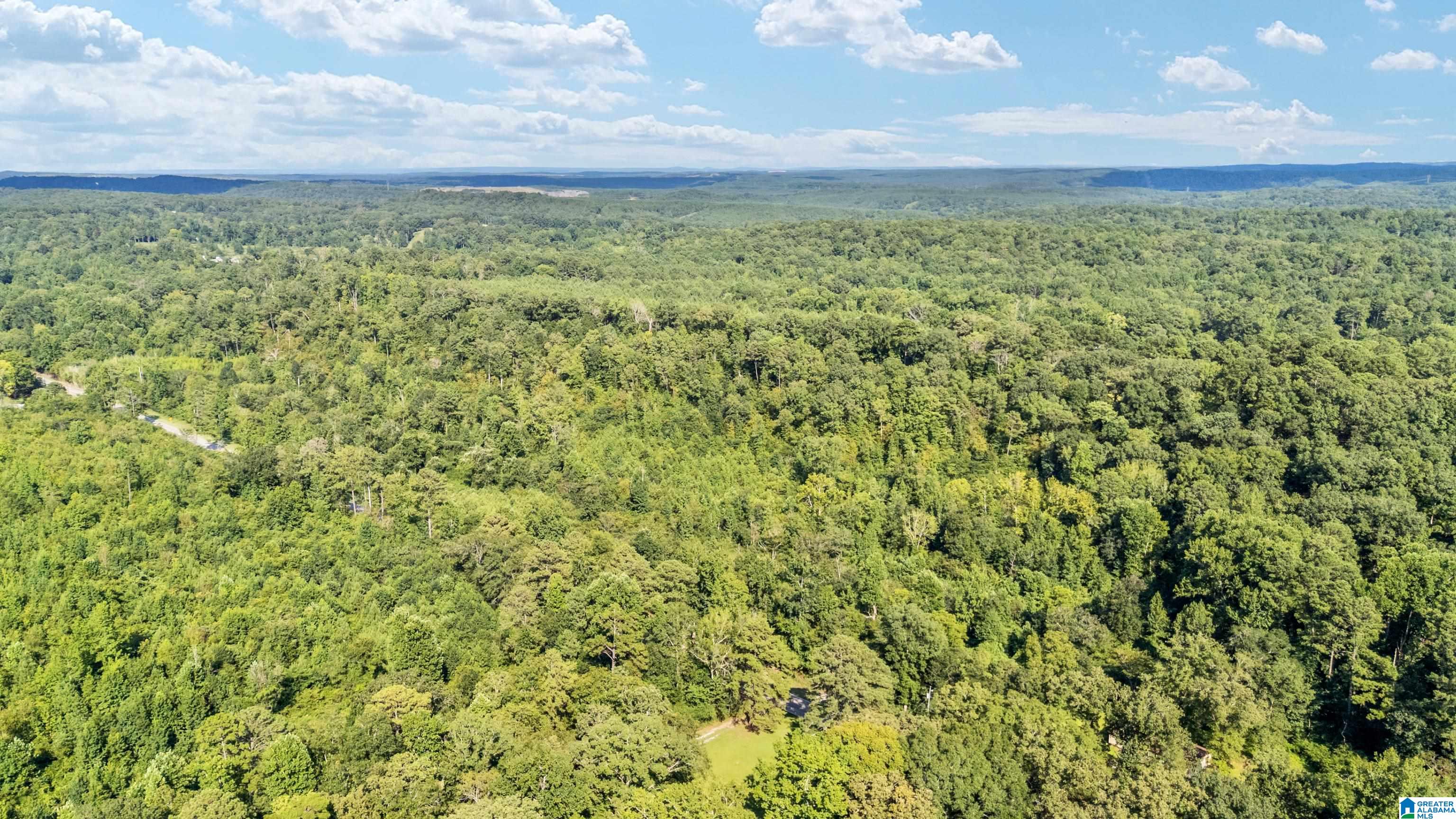 0 Warrior Jasper Road, Unit 23 AC Dora, AL 35062 - Photo 13 of 18