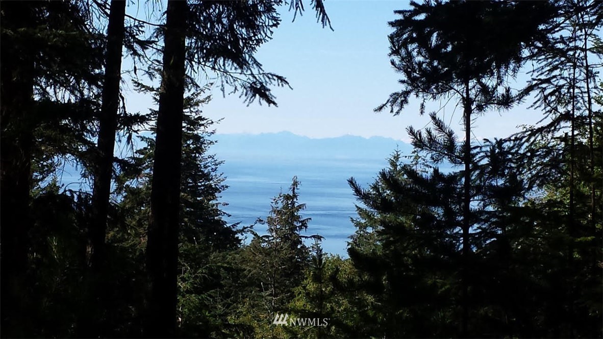 130 Fern Ridge Road Orcas Island, WA 98245 - Photo 2 of 13 Gallery Image 2