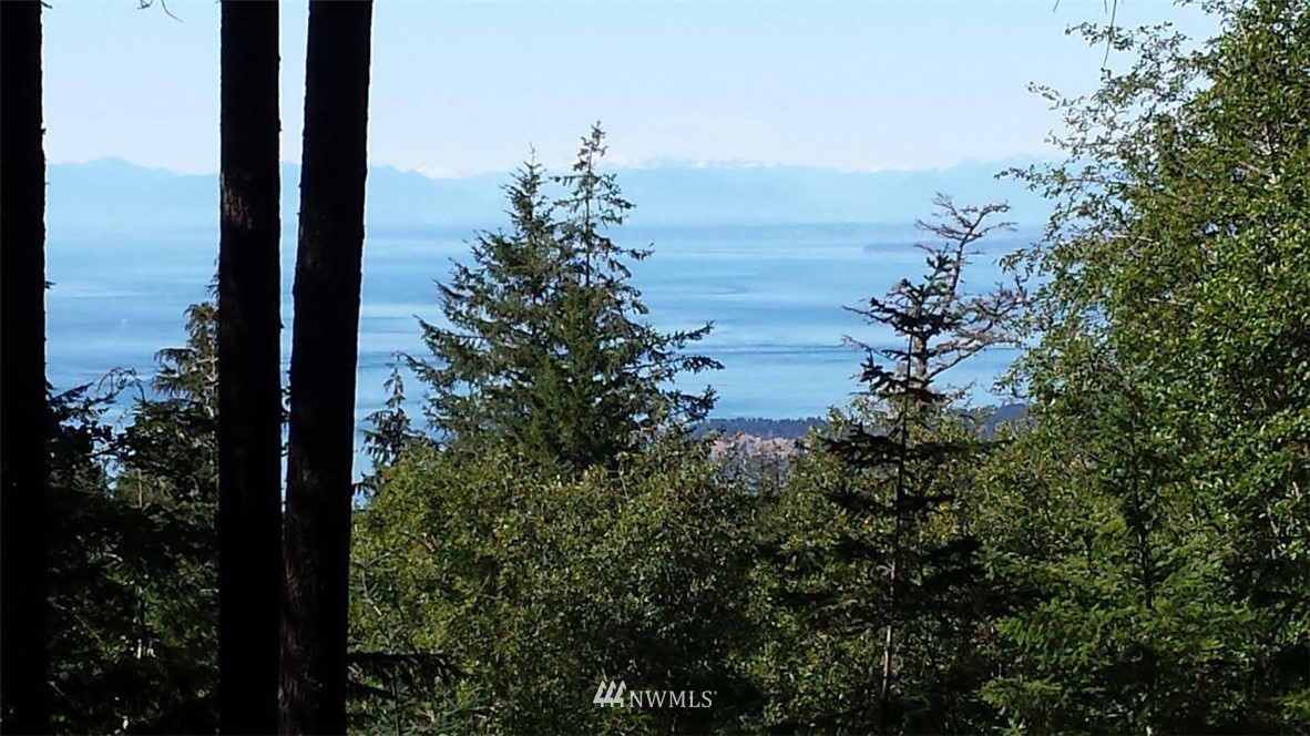 130 Fern Ridge Road Orcas Island, WA 98245 - Photo 11 of 13 Gallery Image 11