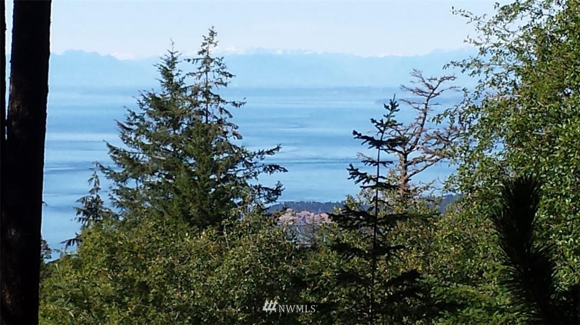 130 Fern Ridge Road Orcas Island, WA 98245 - Photo 12 of 13 Gallery Image 12