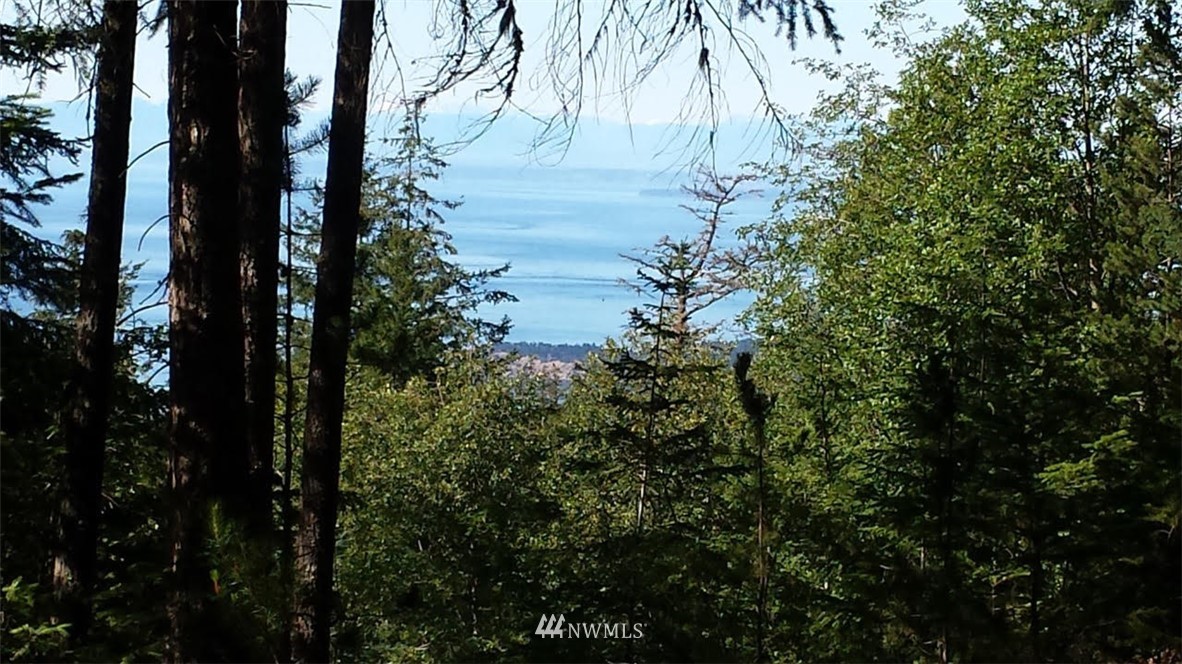 130 Fern Ridge Road Orcas Island, WA 98245 - Photo 13 of 13 Gallery Image 13